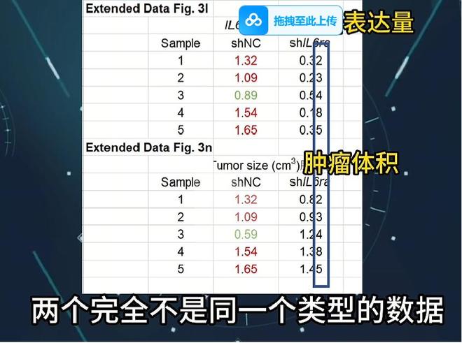 同济大学、中山大学等多所高校学者被举报涉嫌学术不端,已启动调查程序,有人被免职,科研人员:“大咖” 太忙,甚至不清楚手下在做什么